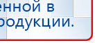 СКЭНАР-1-НТ (исполнение 02.1) Скэнар Про Плюс купить в Тюмени, Аппараты Скэнар купить в Тюмени, Скэнар официальный сайт - denasvertebra.ru